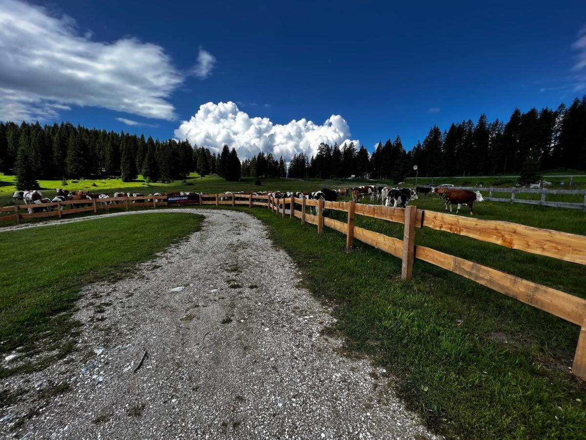 Malga Millegrobbe Nordic Resort Лавароне Экстерьер фото